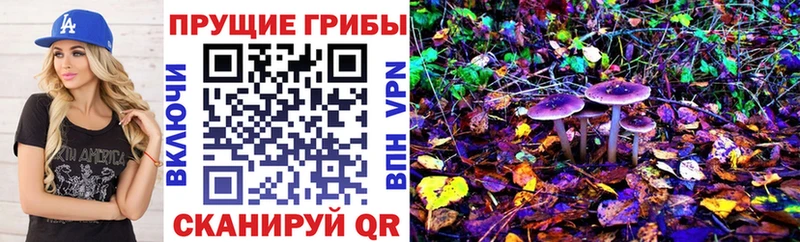 Псилоцибиновые грибы Cubensis  продажа наркотиков  блэк спрут ссылка  Минеральные Воды 